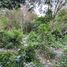  Terreno (Parcela) en venta en Kerobokan, Bali, Kerobokan, Badung