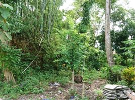  Land for sale in Yogyakarta, Ngaglik, Sleman, Yogyakarta