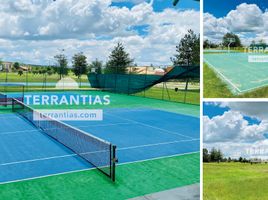  Terreno (Parcela) en venta en Lagos De Moreno, Jalisco, Lagos De Moreno