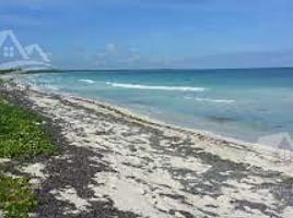  Grundstück zu verkaufen in Othon P Blanco, Quintana Roo, Othon P Blanco