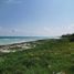  Grundstück zu verkaufen in Othon P Blanco, Quintana Roo, Othon P Blanco