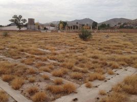  Grundstück zu vermieten in Torreon, Coahuila, Torreon