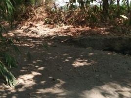 Terrain à vendre à Seyegan, Yogyakarta, Seyegan, Sleman, Yogyakarta