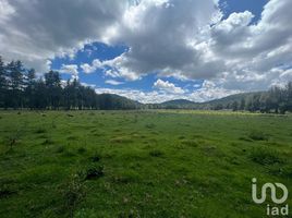 Land for sale in Tenango Del Valle, Mexico, Tenango Del Valle