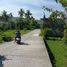  Land for sale in Seririt, Bali, Seririt, Buleleng