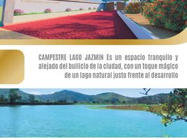  Grundstück zu verkaufen in Almoloya De Juarez, Mexico, Almoloya De Juarez