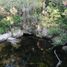  Land for sale in Cozumel, Quintana Roo, Cozumel, Quintana Roo
