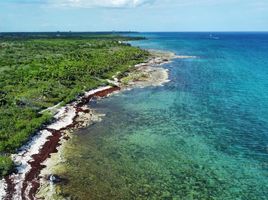  Land for sale in Cozumel, Quintana Roo, Cozumel, Quintana Roo