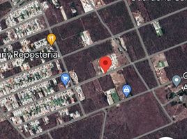  Grundstück zu verkaufen in Conkal, Yucatan, Conkal