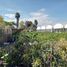  Terreno (Parcela) en venta en Atlixco, Puebla, Atlixco, Puebla