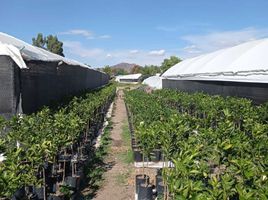  Terreno (Parcela) en venta en Atlixco, Puebla, Atlixco, Puebla