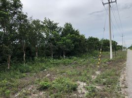Terrain à vendre à Puerto Morelos, Quintana Roo, Puerto Morelos