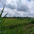  Terreno (Parcela) en venta en Sleman, Yogyakarta, Sleman, Sleman, Yogyakarta