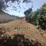  Land for sale in Jilotepec, Veracruz, Jilotepec