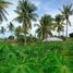  Land for sale in Cebu Central Visayas, Barili