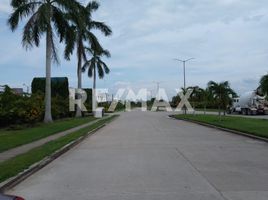  Land for sale in Jalpa De Mendez, Tabasco, Jalpa De Mendez