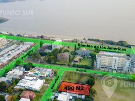  Land for sale in Santana Do Livramento, Rio Grande do Sul, Espinilho, Santana Do Livramento