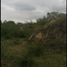 Terrain à vendre à Montemorelos, Nuevo Leon, Montemorelos, Nuevo Leon