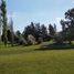  Grundstück zu verkaufen in Pilar, Buenos Aires, Pilar