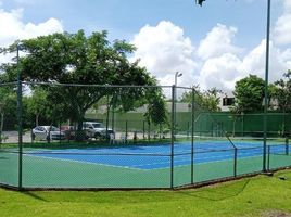  Terreno (Parcela) en venta en Conkal, Yucatán, Conkal