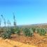  Land for sale in Chile, Litueche, Cardenal Caro, Libertador General Bernardo Ohiggins, Chile