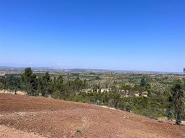  Land for sale in Chile, Litueche, Cardenal Caro, Libertador General Bernardo Ohiggins, Chile