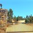  Land for sale in Chile, Litueche, Cardenal Caro, Libertador General Bernardo Ohiggins, Chile