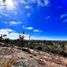  Land for sale in Chile, Litueche, Cardenal Caro, Libertador General Bernardo Ohiggins, Chile