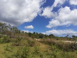  Grundstück zu verkaufen in Bohol, Central Visayas, Panglao