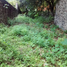  Terreno (Parcela) en venta en Cuernavaca, Morelos, Cuernavaca