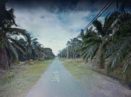  Land for sale in Kuala Selangor, Selangor, Api-Api, Kuala Selangor