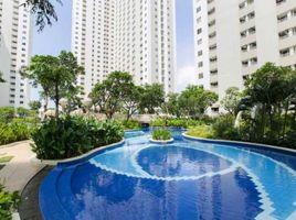 2 Bedroom Apartment for rent in Indonesia, Mulyorejo, Surabaya, East Jawa, Indonesia