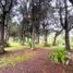 3 Schlafzimmer Villa zu verkaufen in La Ceja, Antioquia, La Ceja