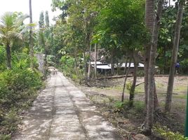  Tanah for sale in Bantul, Yogyakarta, Kasihan, Bantul