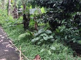  Grundstück zu verkaufen in Tabanan, Bali, Selemadeg, Tabanan