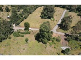  Land for sale in Chile, Curarrehue, Cautin, Araucania, Chile