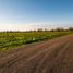  Land for sale in Chile, Pelarco, Talca, Maule, Chile