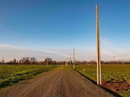  Land for sale in Chile, Pelarco, Talca, Maule, Chile