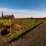  Land for sale in Chile, Pelarco, Talca, Maule, Chile