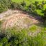  Terreno (Parcela) en venta en La Calera, Cundinamarca, La Calera