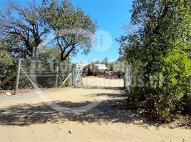  Terreno (Parcela) en venta en Maule, Longavi, Linares, Maule