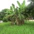  Terreno (Parcela) en venta en Cebu City, Central Visayas, Cebu City