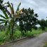 3 Habitación Casa en venta en Seyegan, Yogyakarta, Seyegan