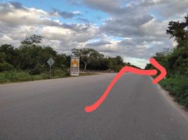  Land for sale in Valladolid, Yucatan, Valladolid