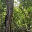  Land for sale in Valladolid, Yucatan, Valladolid