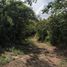  Land for sale in Valladolid, Yucatan, Valladolid
