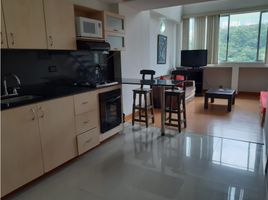 1 Bedroom Apartment for rent in Bare Foot Park (Parque de los Pies Descalzos), Medellin, Medellin