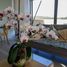 3 Habitación Apartamento en alquiler en Concepción, Biobío, Talcahuano, Concepción