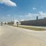  Land for sale in Mexquitic De Carmona, San Luis Potosi, Mexquitic De Carmona, San Luis Potosi