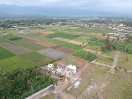  Tanah for sale in Malang Regency, East Jawa, Pakis, Malang Regency